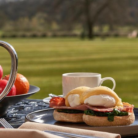 Rockliffe Hall Hotel Golf & Spa ダーリントン エクステリア 写真